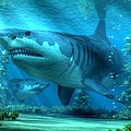 The Biggest Shark