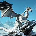 Winter Dragon